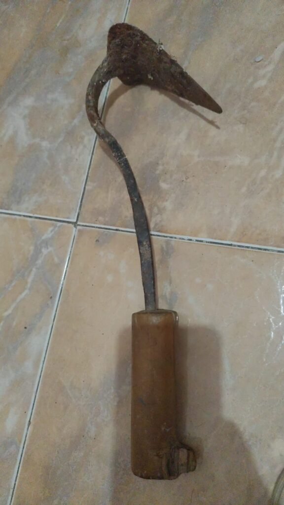 WhatsApp Image 2026 08 02 at 18.23.59